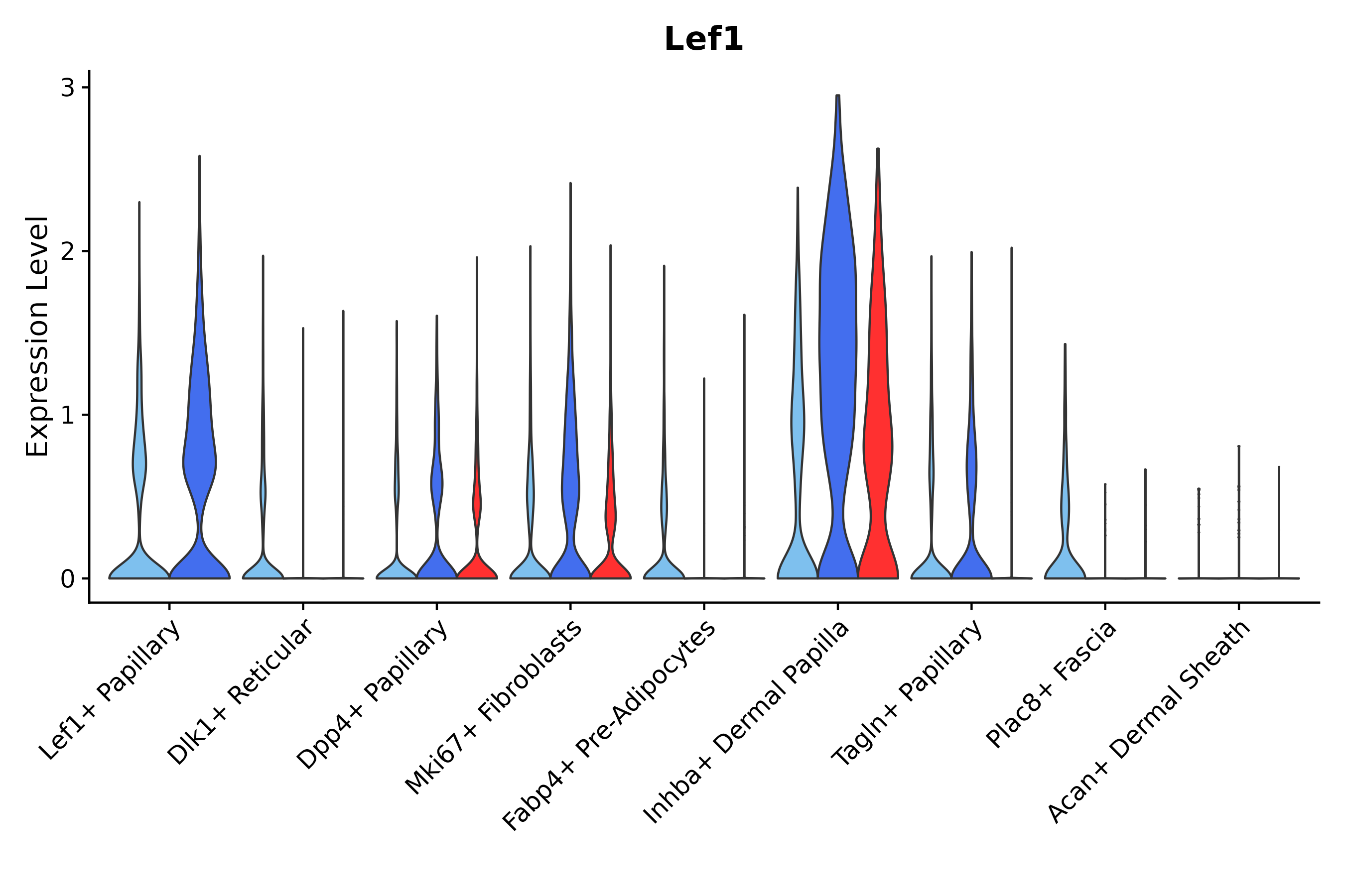 Lef1 KI, KO, WT LEF1 RNA Vln expression plot