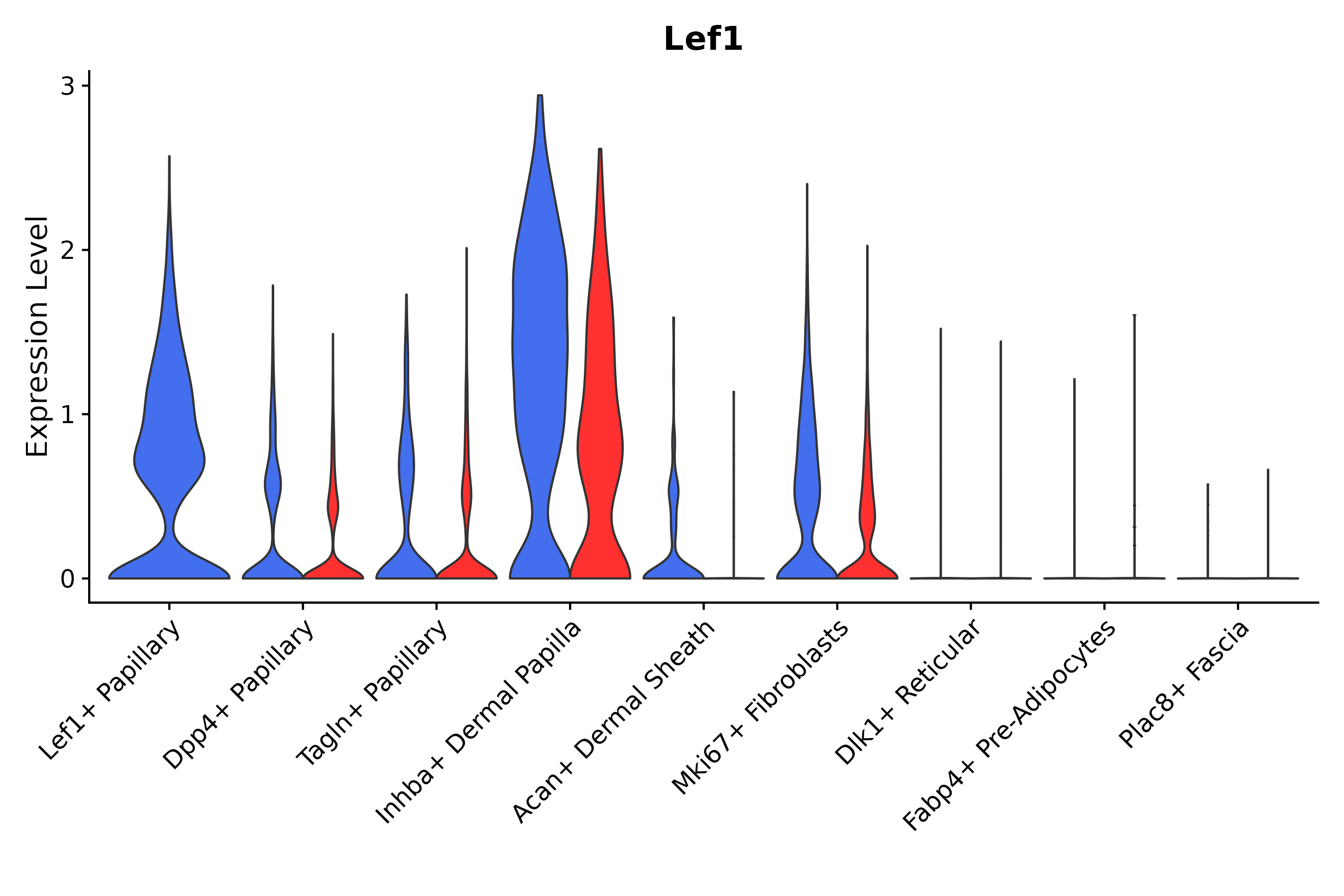 Lef1 KI, KO, WT LEF1 RNA Vln expression plot